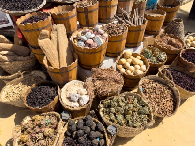 Clinical research in traditional medicine