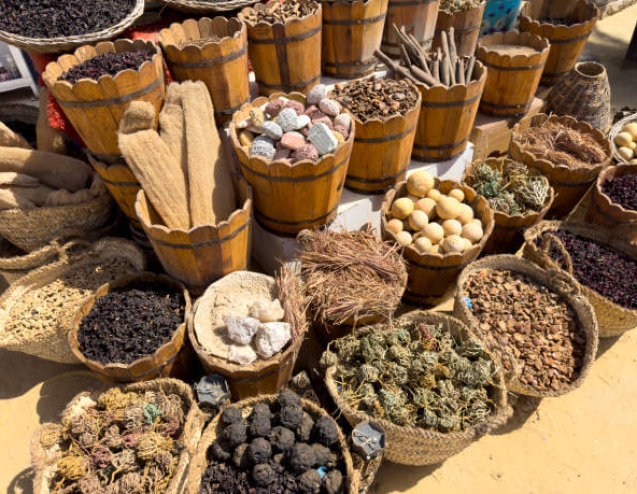 Clinical research in traditional medicine